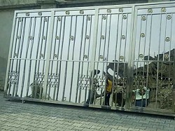 Stainless Steel Gate sil00010